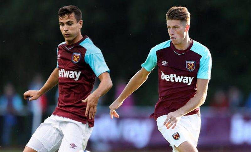 的这一报道 的这一报道